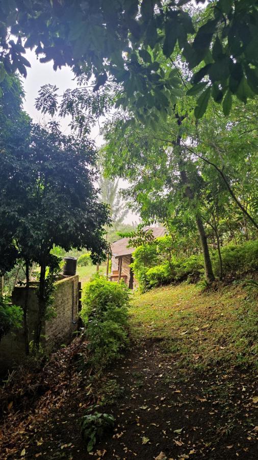 Lake Lyantonde Eco Campsite Original Fort Portal Екстериор снимка
